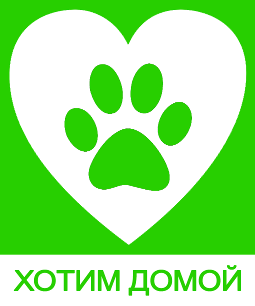 Хотим домой